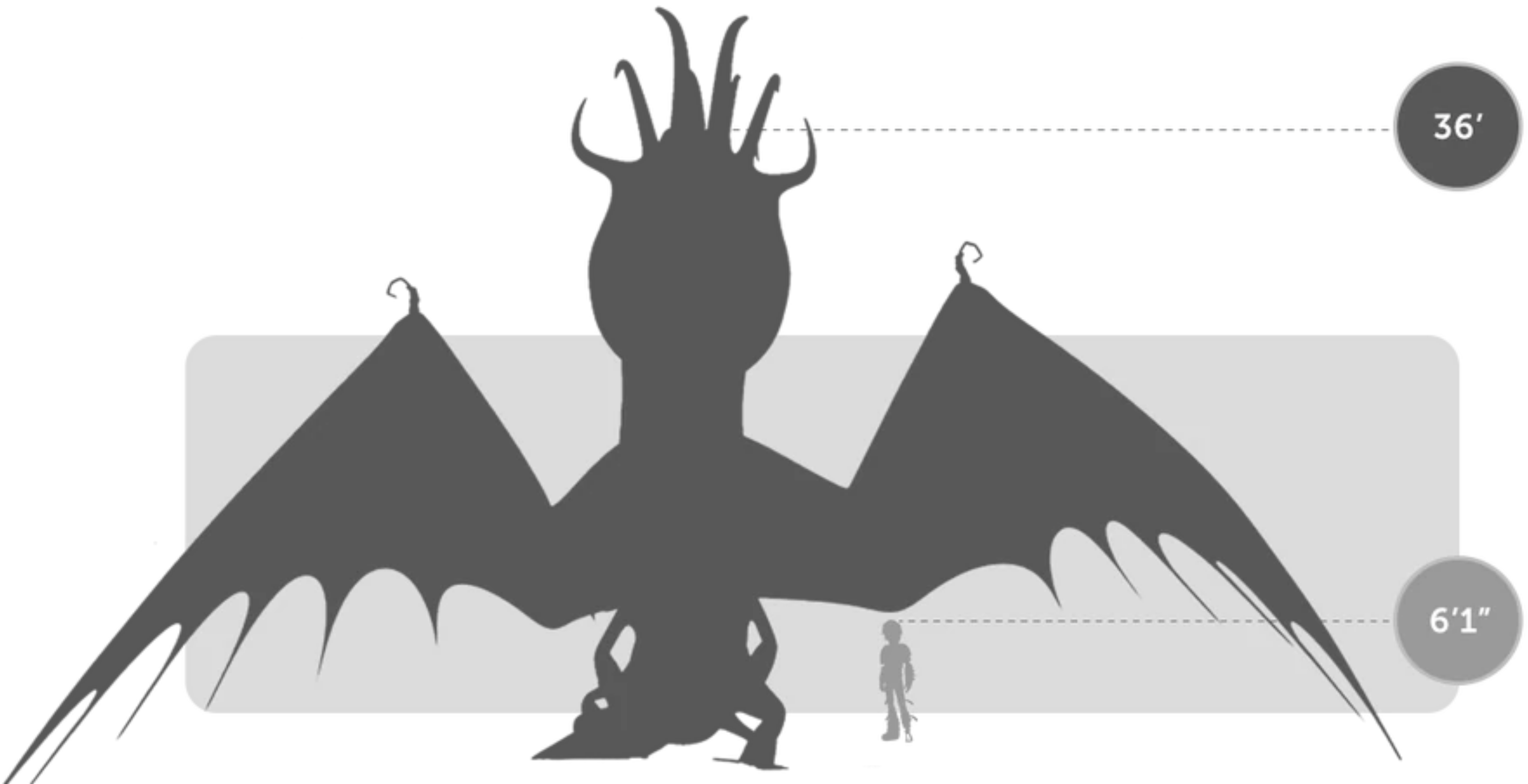 Fireworm size