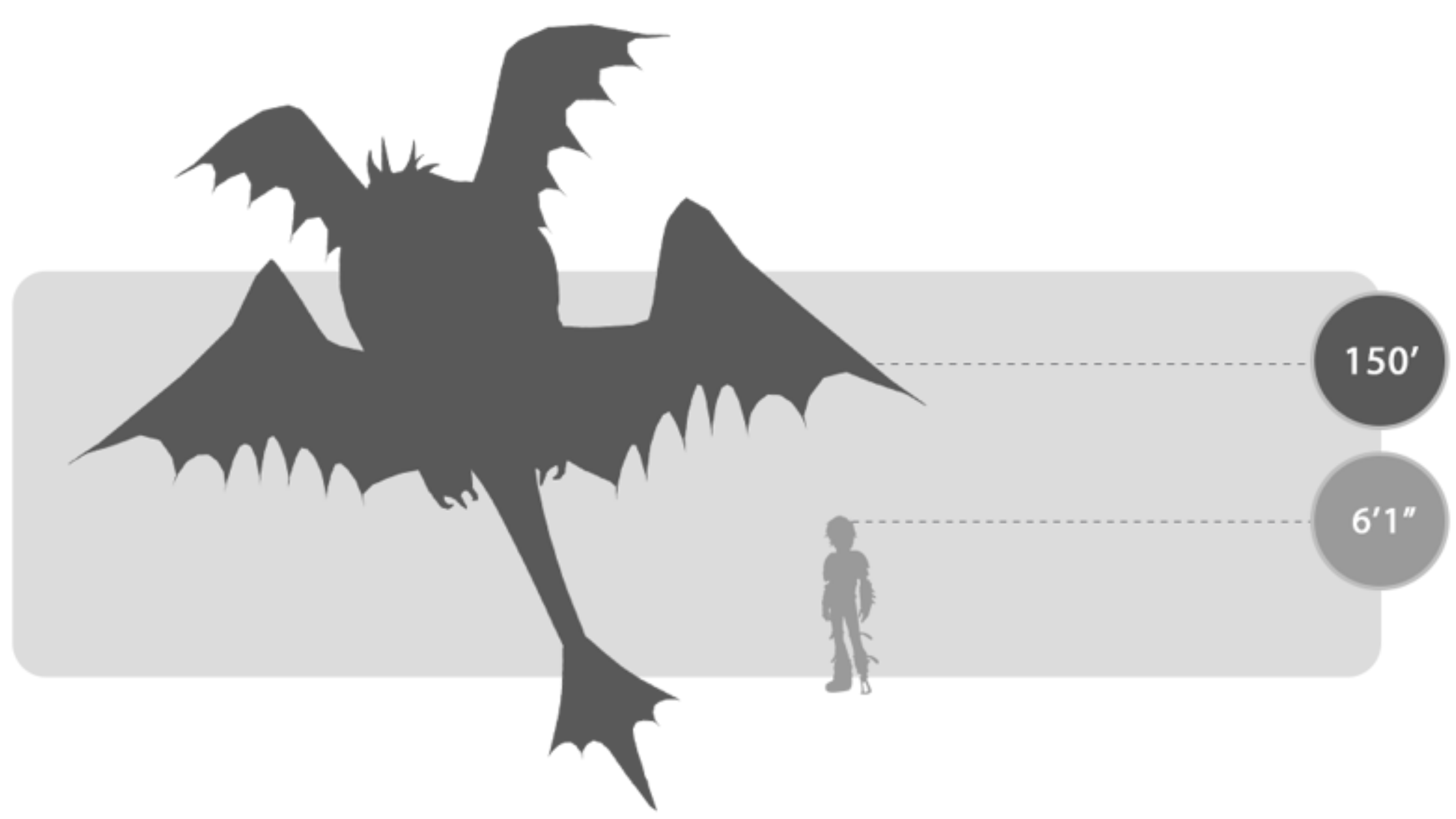 Singetail size