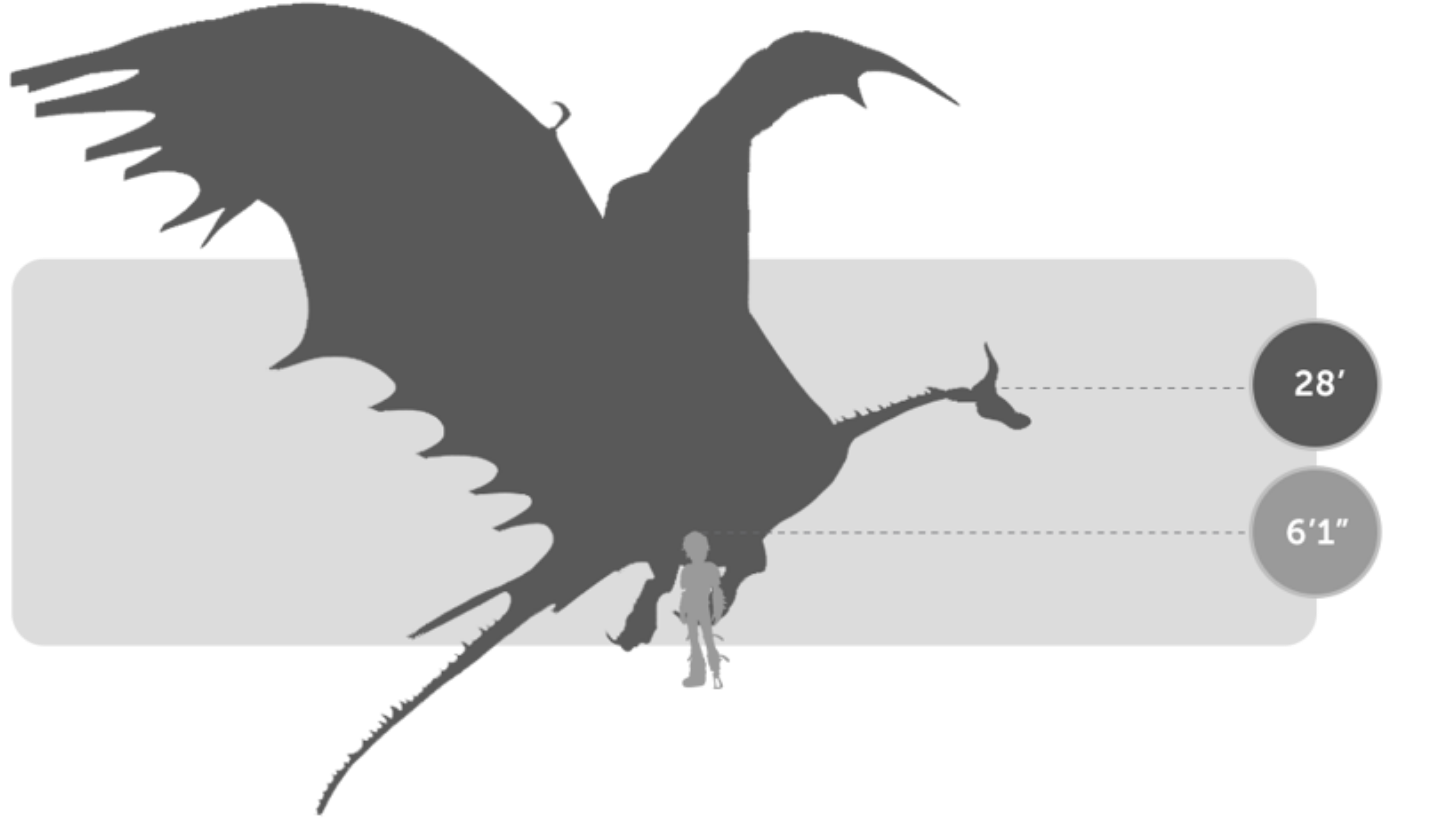 Typhoomerang size