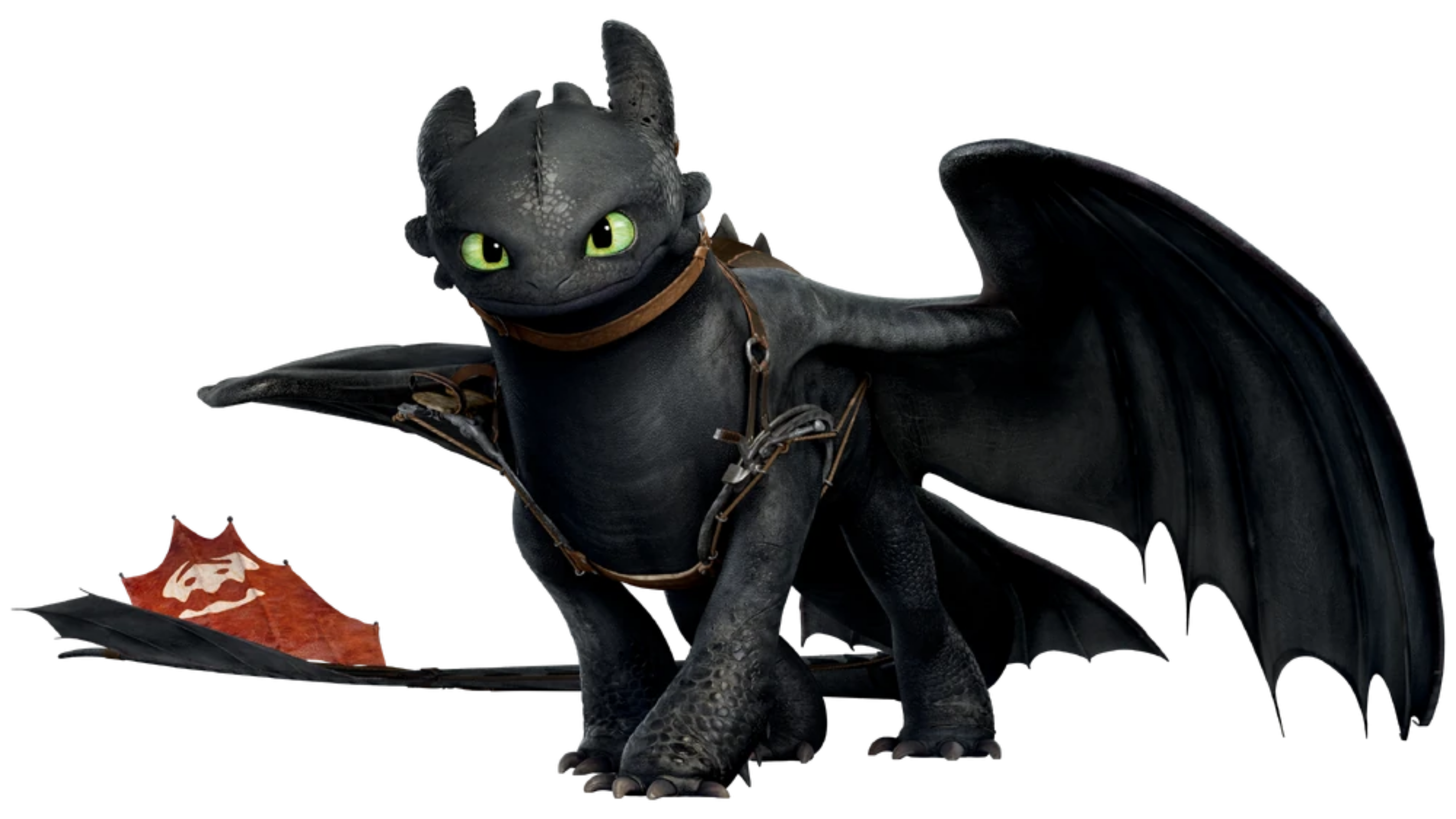Night Fury size