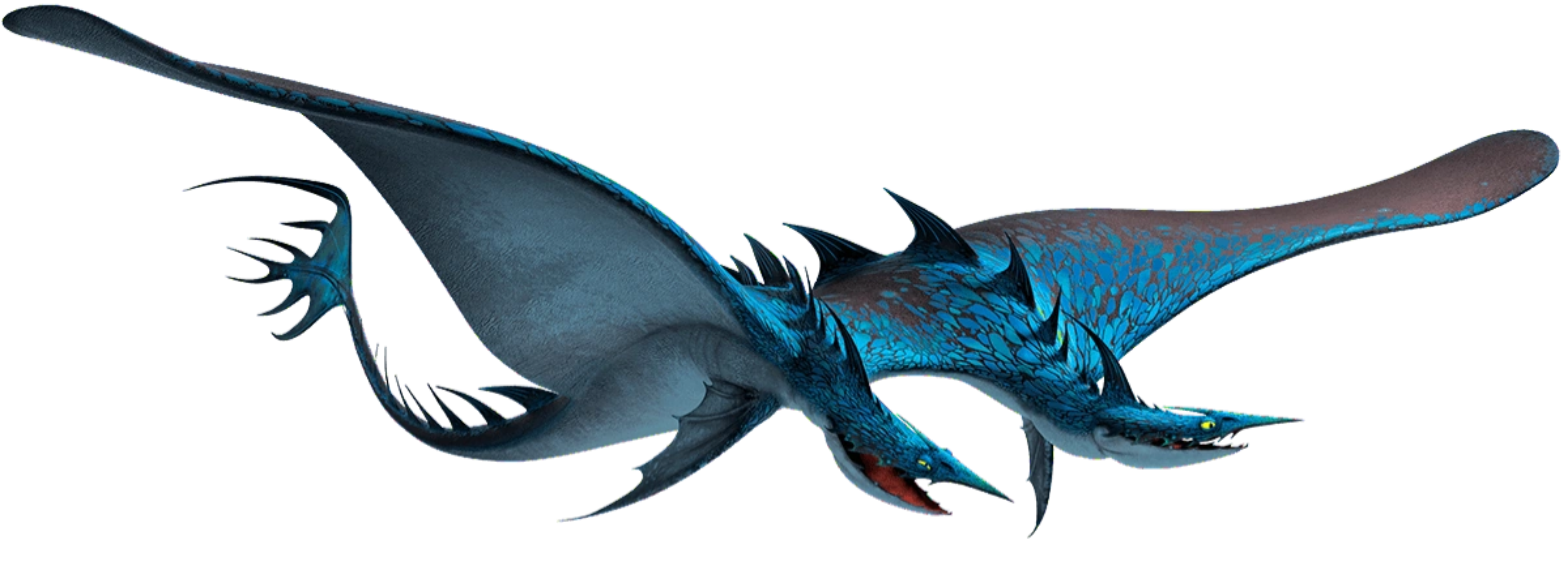 Seashocker