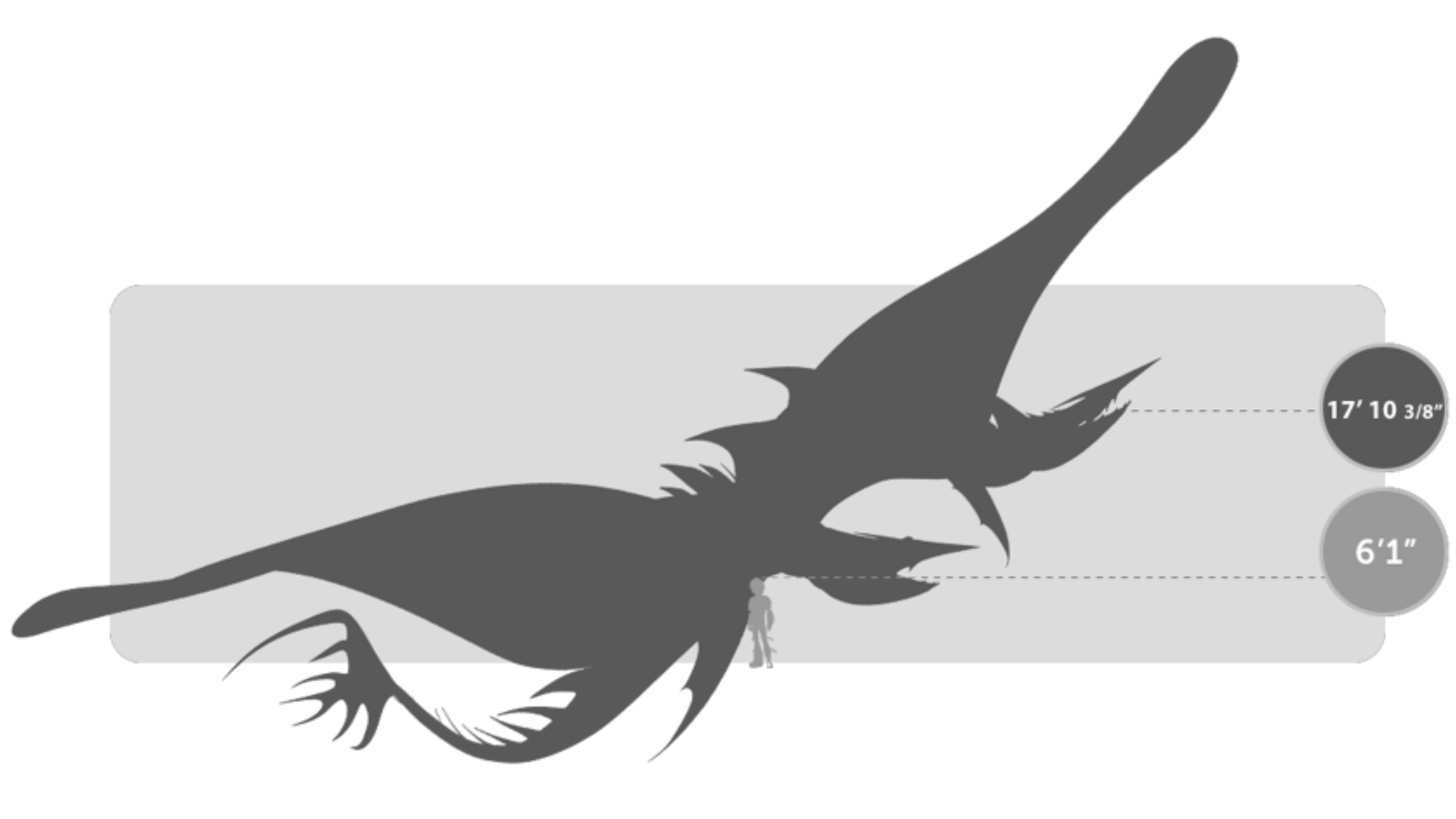 Seashocker size